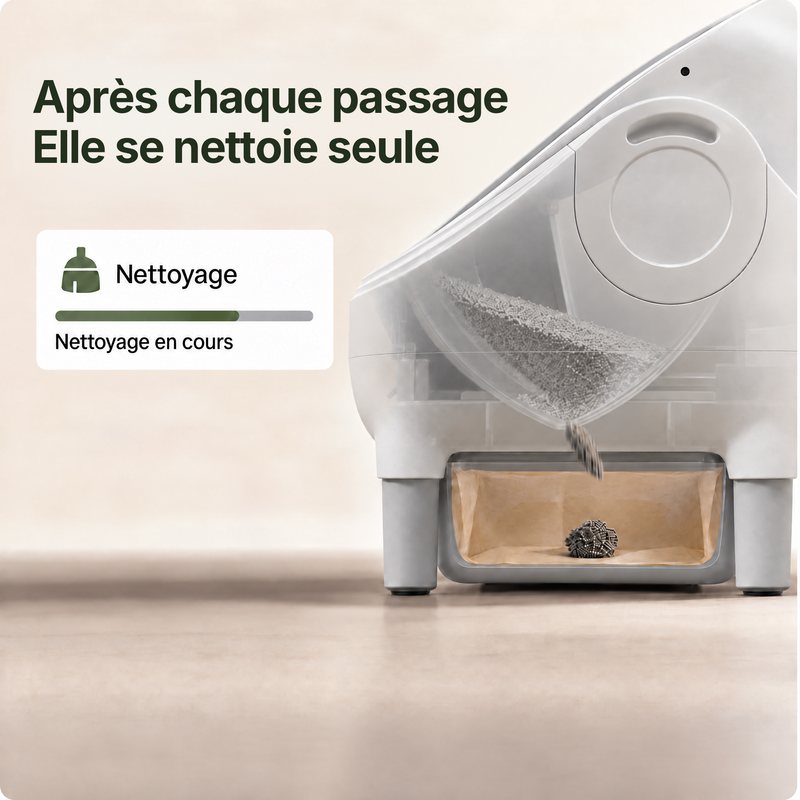 Vue en coupe de la Maxi-F pendant le nettoyage : les déchets tombent dans le bac après chaque passage