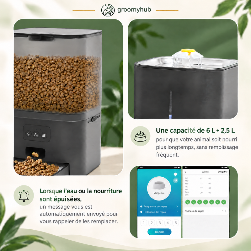 Réservoir de 6 L de croquettes du Duo-F et programmation des repas dans l'application