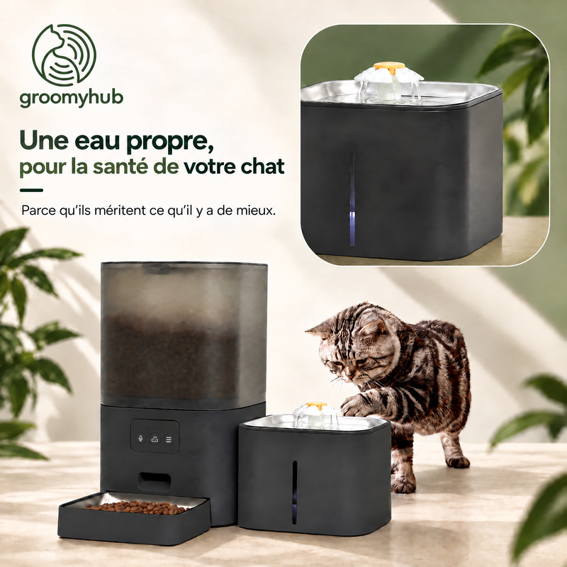 Chat buvant l’eau propre de la fontaine du Duo-F