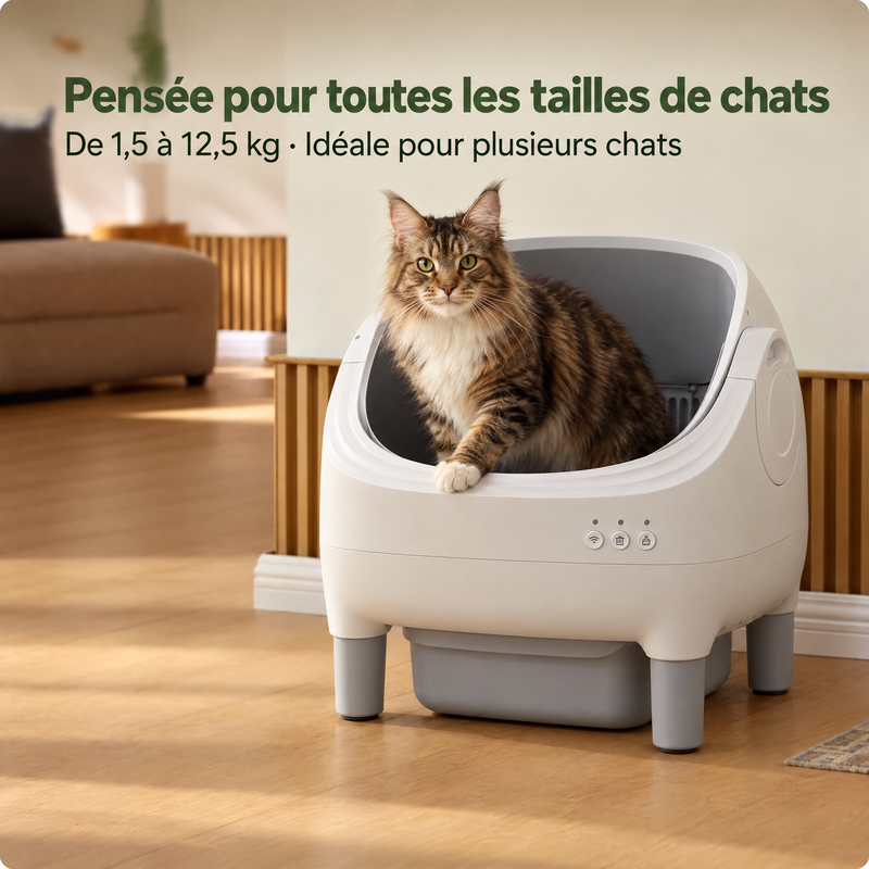 Grand chat à poil long installé dans la Maxi-F, litière pour chats de 1,5 à 12,5 kg